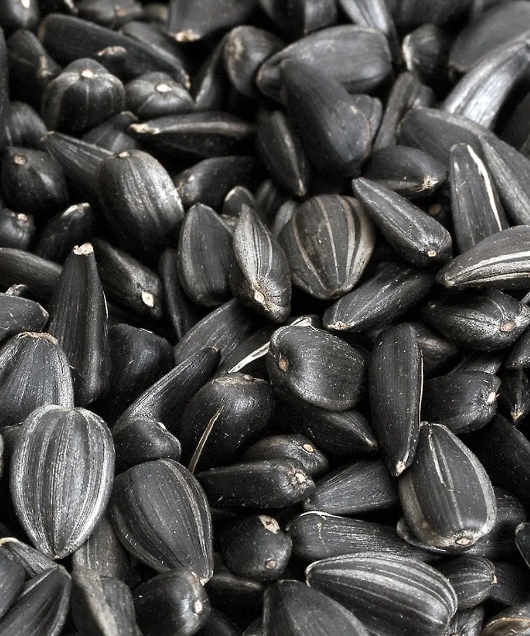 Black sunflower seeds